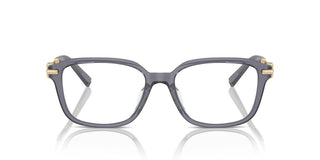 Tiffany & Co. TF 2253D women Violet Squared Eyeglasses