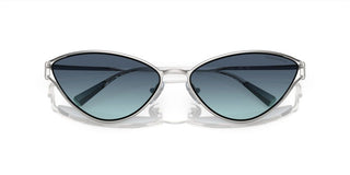 Tiffany & Co. TF 3095 women Silver Cat Eye Sunglasses