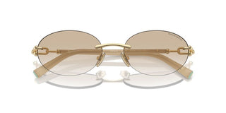 Tiffany & Co. TF 3104D unisex Gold Oval Sunglasses