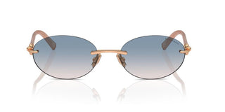 Tiffany & Co. TF 3104D unisex Gold Oval Sunglasses