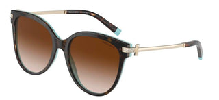 Tiffany & Co. TF 4193B women Havana Cat Eye Sunglasses