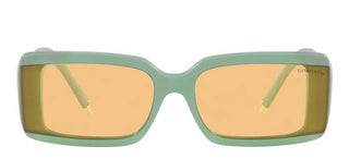 Tiffany & Co. TF 4197 women Green Geometric Sunglasses