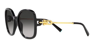 Tiffany & Co. TF 4202U women Black Oversize Sunglasses