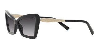 Tiffany & Co. TF 4203 women Black Geometric Sunglasses