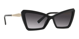 Tiffany & Co. TF 4203 women Black Geometric Sunglasses