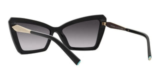 Tiffany & Co. TF 4203 women Black Geometric Sunglasses