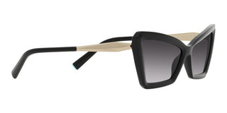 Tiffany & Co. TF 4203 women Black Geometric Sunglasses