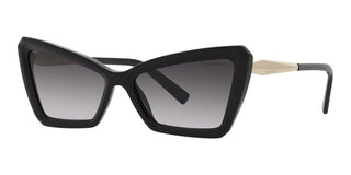 Tiffany & Co. TF 4203 women Black Geometric Sunglasses