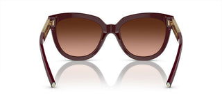 Tiffany & Co. TF 4215 women Brown Cat Eye Sunglasses