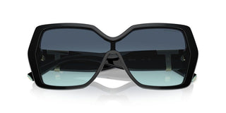 Tiffany & Co. TF 4219 women Black Geometric Sunglasses