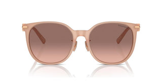 Tiffany & Co. TF 4224D women Pink Pantos Sunglasses