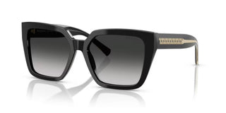 Tiffany & Co. TF 4235 women Black Butterfly Sunglasses