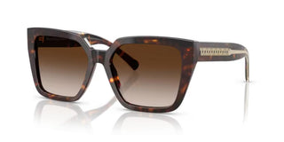 Tiffany & Co. TF 4235 women Havana Butterfly Sunglasses