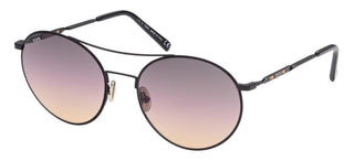 Tod's TO0291 women Black Round Sunglasses