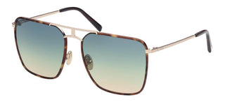 Tod's TO0293 women Havana Geometric Sunglasses