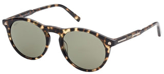 Tod's TO0298 men Havana Round Sunglasses