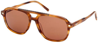 Tod's TO0307 men Havana Pilot Sunglasses