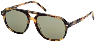 Tod's TO0307 men Havana Pilot Sunglasses