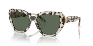 Tory Burch TY 7194U women Multicolor Cat Eye Sunglasses