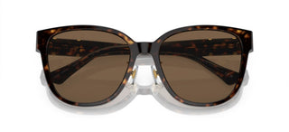 Versace VE 4460D women Havana Pantos Sunglasses