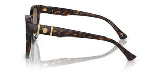 Versace VE 4460D women Havana Pantos Sunglasses