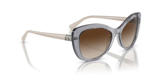 Vogue VO 5515SB women Grey Butterfly Sunglasses