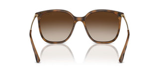 Vogue VO 5564S women Havana Squared Sunglasses