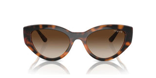 Vogue VO 5566S women Havana Cat Eye Sunglasses