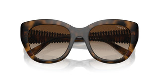 Vogue VO 5567S women Havana Butterfly Sunglasses