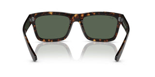 Ray-Ban WARREN RB 4396 unisex Havana Geometric Sunglasses