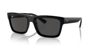 Ray-Ban WARREN RB 4396 unisex Black Geometric Sunglasses