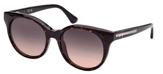 Web WE0326 unisex Havana Round Sunglasses